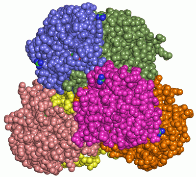 Image Asym./Biol. Unit - manually