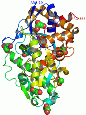 Image Asym./Biol. Unit - manually