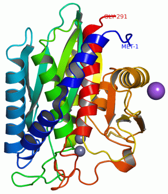 Image Asym./Biol. Unit - manually