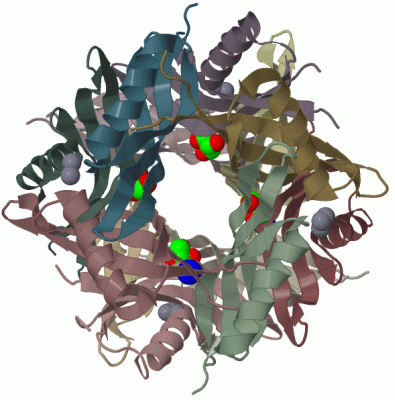 Image Biol.Unit 1 - manually