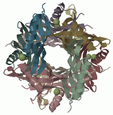 Image Biol.Unit 1 - manually