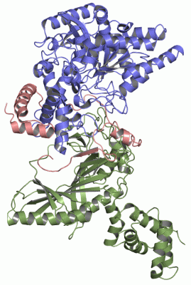 Image Asym./Biol. Unit - manually