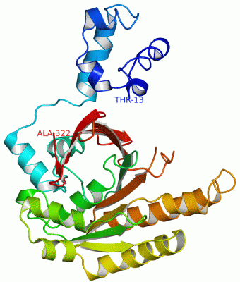 Image Asym./Biol. Unit - manually