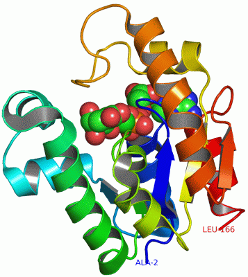 Image Asym./Biol. Unit - manually