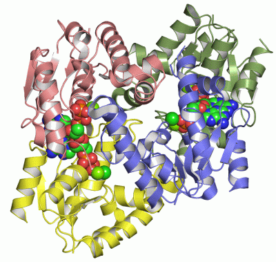 Image Asym./Biol. Unit - manually