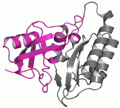 Image Asym./Biol. Unit - manually