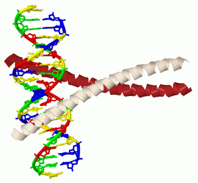 Image Biol.Unit 1 - manually