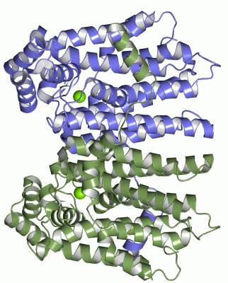 Image Asym./Biol. Unit - manually