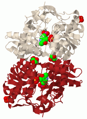 Image Biol.Unit 1 - manually