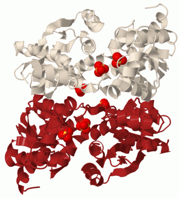 Image Biol.Unit 1 - manually