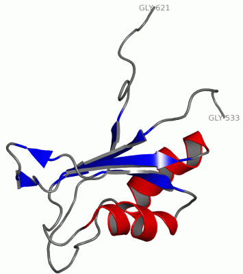 Image NMR Structure - manually