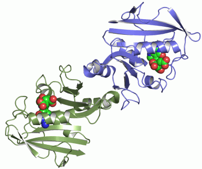 Image Asym./Biol. Unit - manually