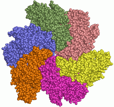 Image Asym./Biol. Unit - manually