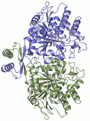 Image Asym./Biol. Unit - manually