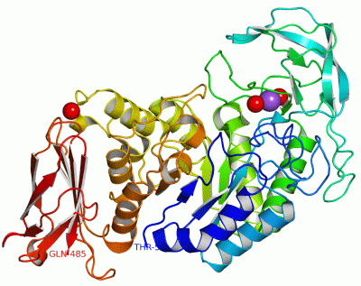 Image Asym./Biol. Unit - manually