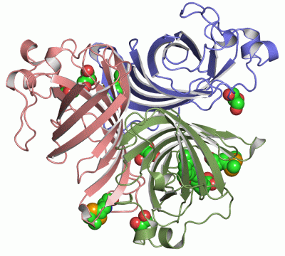 Image Asym./Biol. Unit - manually