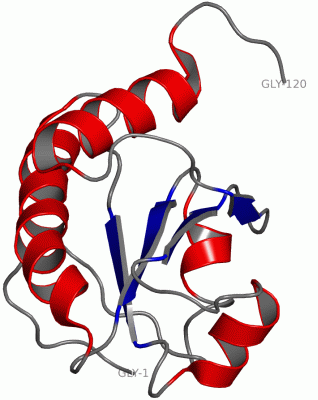 Image NMR Structure - manually