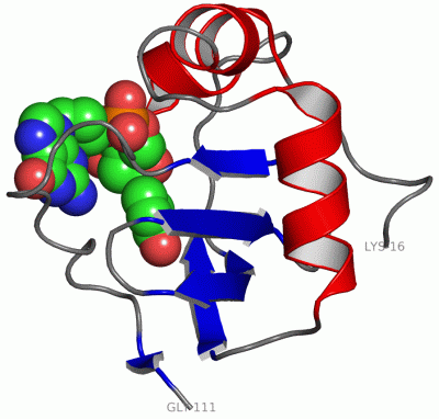 Image Asym./Biol. Unit - manually