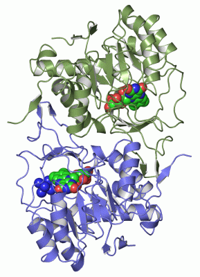 Image Asym./Biol. Unit - manually