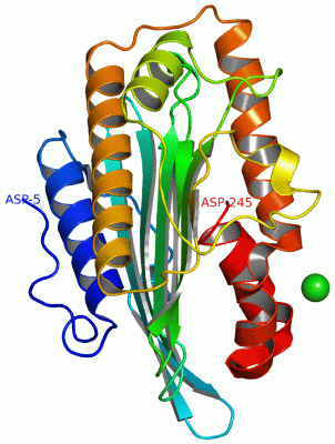 Image Asym./Biol. Unit - manually