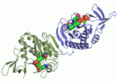 Image Asym./Biol. Unit - manually