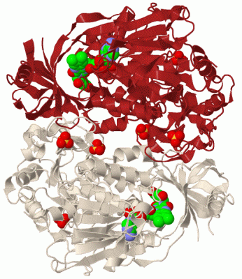 Image Biol.Unit 1 - manually