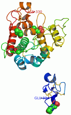 Image Asym./Biol. Unit - manually