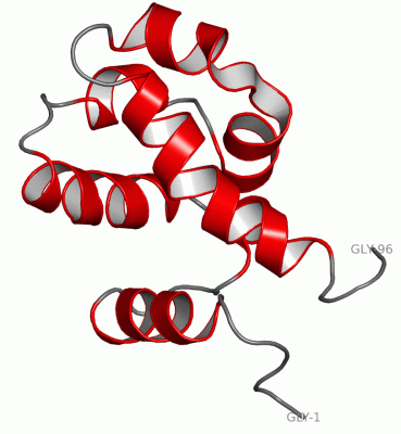 Image NMR Structure - manually