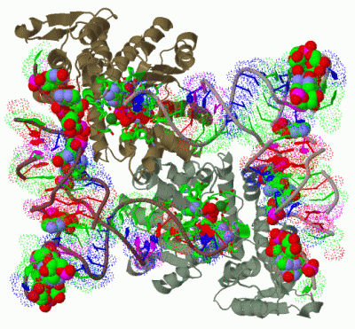 Image Biol.Unit 1 - manually