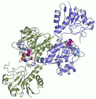 Image Asym./Biol. Unit - manually