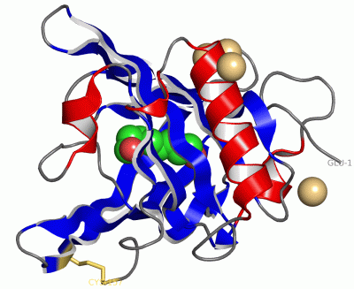 Image Asym./Biol. Unit - manually