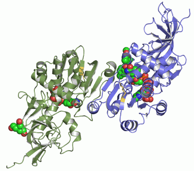 Image Asym./Biol. Unit - manually