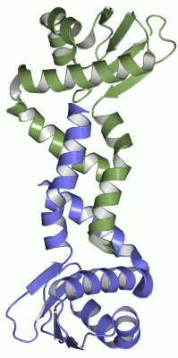 Image Asym./Biol. Unit - manually