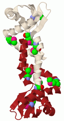 Image Biol.Unit 1 - manually