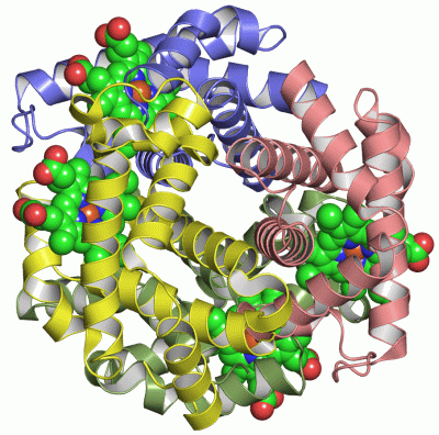 Image Asym./Biol. Unit - manually