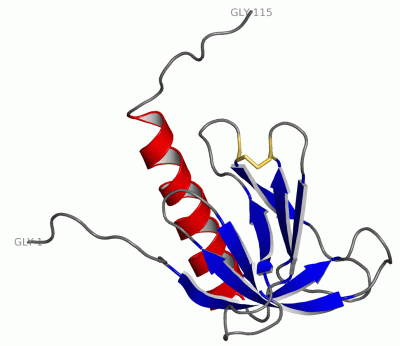 Image NMR Structure - manually