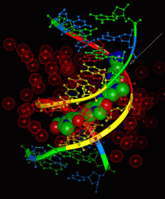 Image Asym./Biol. Unit - manually