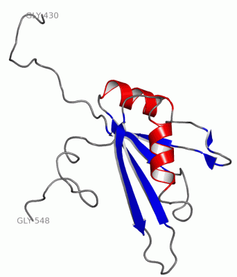 Image NMR Structure - manually