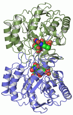 Image Asym./Biol. Unit - manually