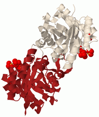 Image Biol.Unit 1 - manually