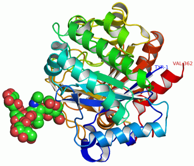 Image Asym./Biol. Unit - manually