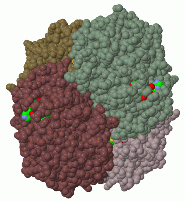 Image Biol.Unit 1 - manually