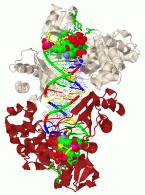 Image Biol.Unit 1 - manually