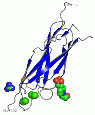 Image Asym./Biol. Unit - manually