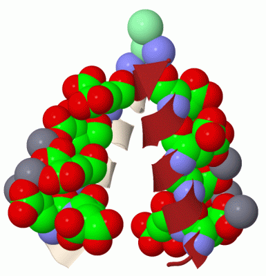 Image Biol.Unit 1 - manually