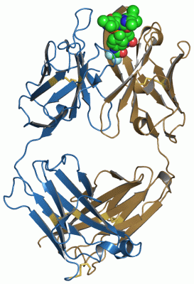 Image Asym./Biol. Unit - manually