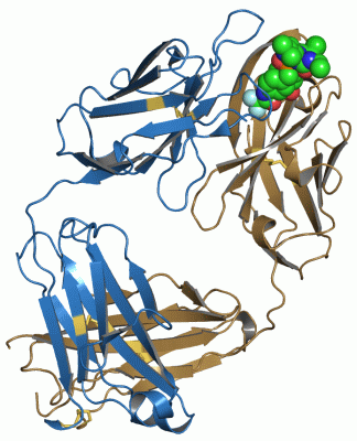 Image Asym./Biol. Unit - manually