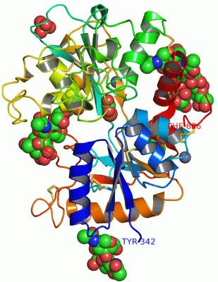 Image Asym./Biol. Unit - manually