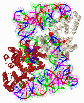 Image Biol.Unit 1 - manually