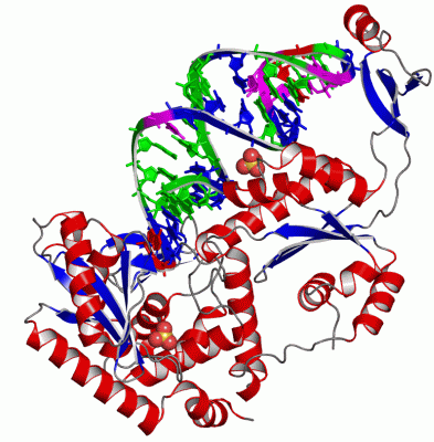 Image Asym./Biol. Unit - manually